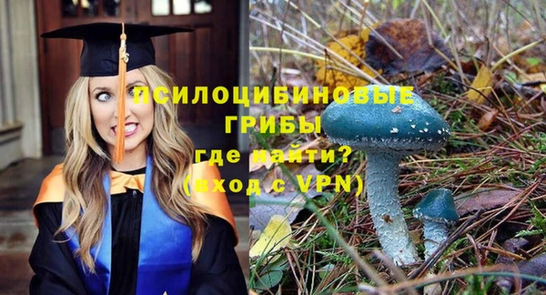 хмурый Алексин