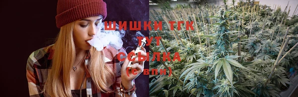 сатива Алзамай