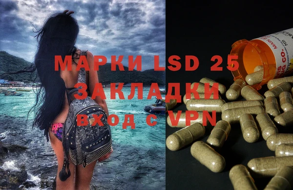 PSILOCYBIN Нея